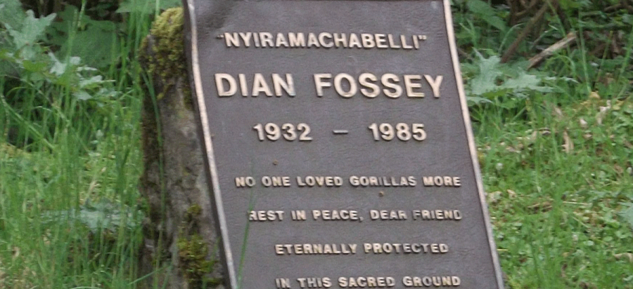 Dian Fossey grave Hike