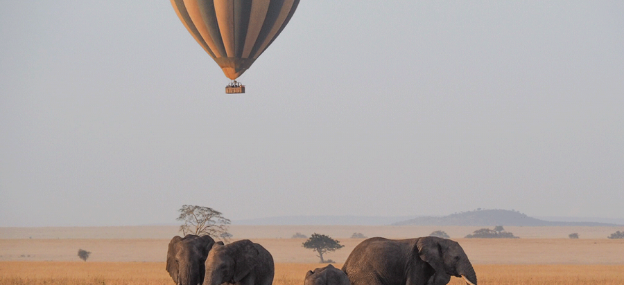 Hot Air balloon Safaris in Serengeti NP
