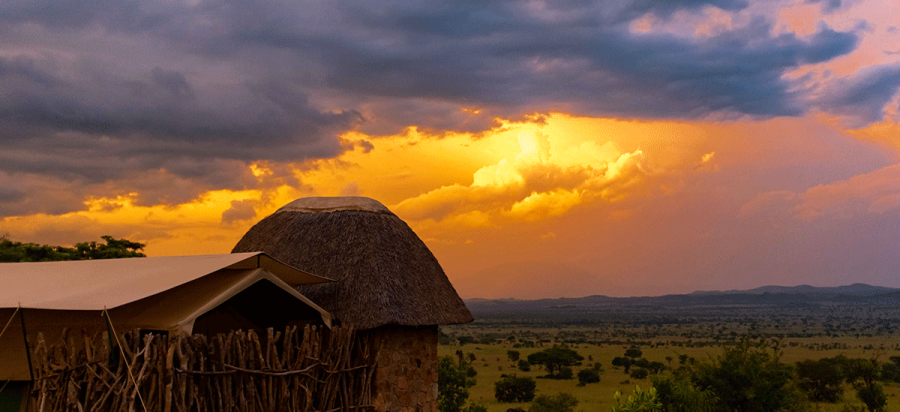18 Days Discover Uganda Safaris