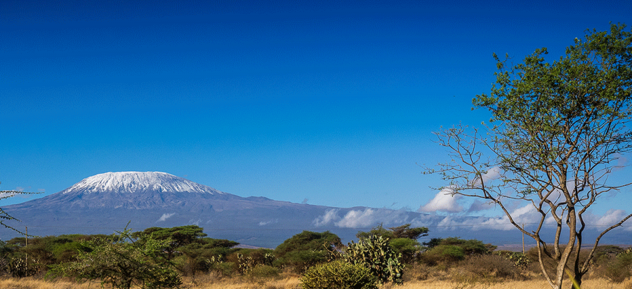 20 Days Tanzania wildlife, Kilimanjaro Hike and Zanzibar holiday