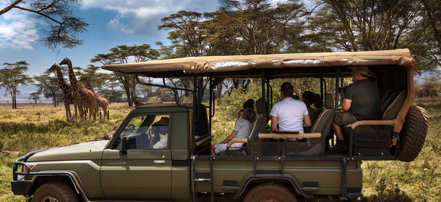 10 Days Private Zimbabwe Wildlife Safari