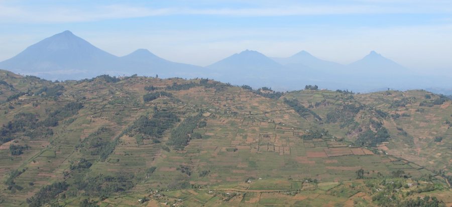 5-8 Days Rwenzori Mountain Hike from DR Congo