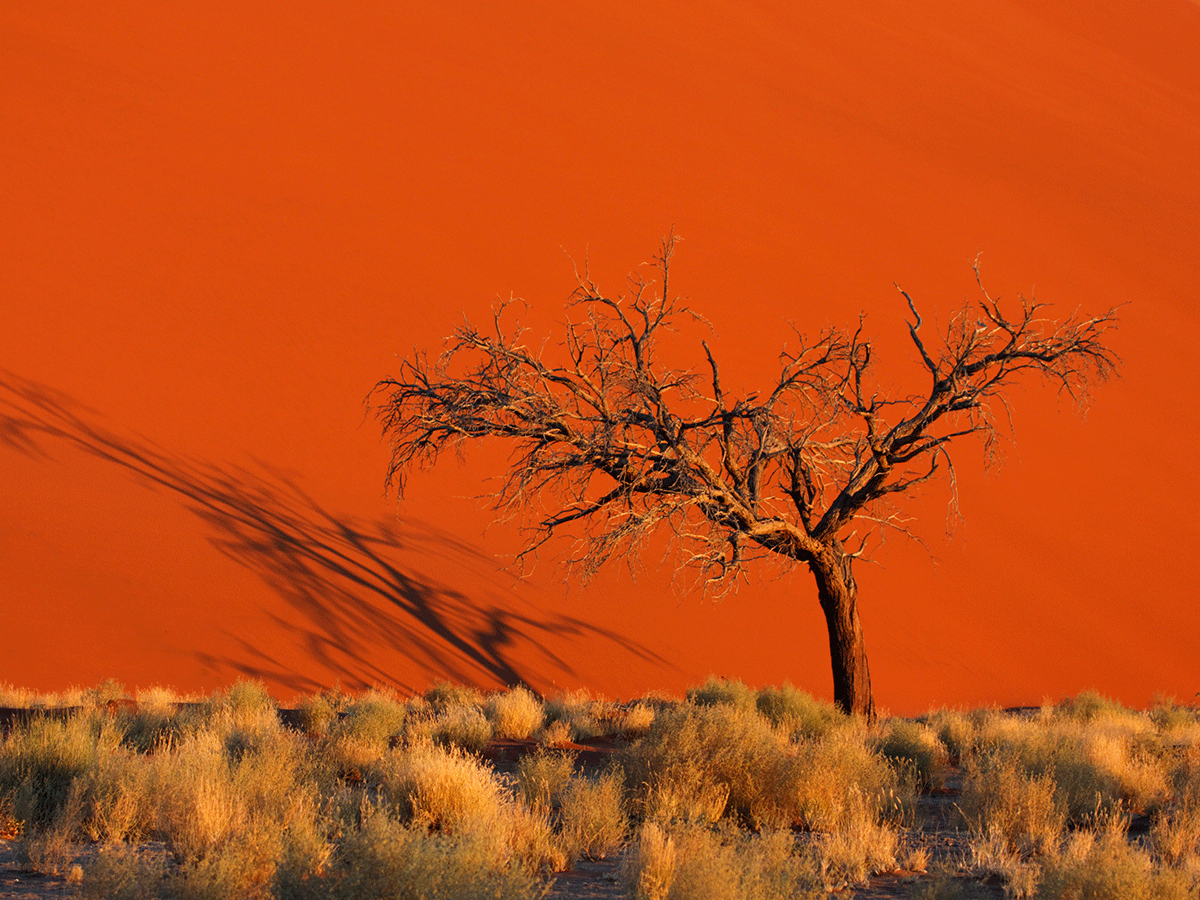 6 Days Best of Namibia Safari Holiday