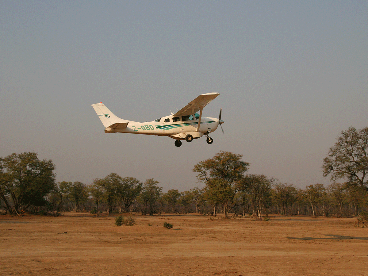 9 Days Luxury Fly in Zimbabwe Wildlife Safari