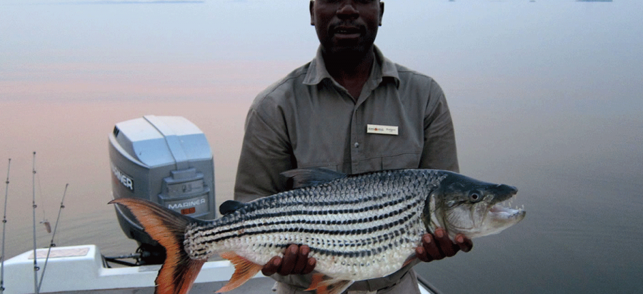 6 Days Victoria Falls Fishing Safari Zambezi River