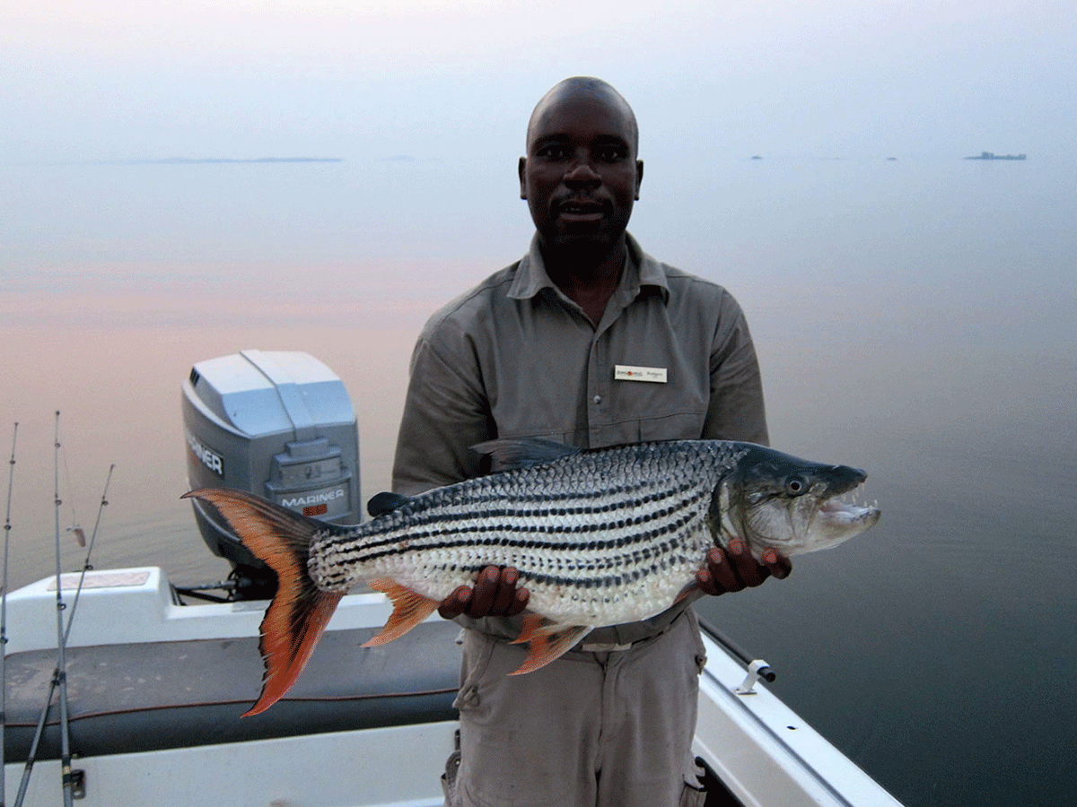 6 Days Victoria Falls Fishing Safari Zambezi River
