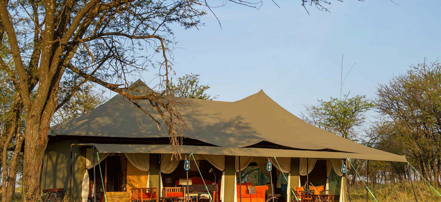 5 Days Serengeti, Ngorongoro crater safari