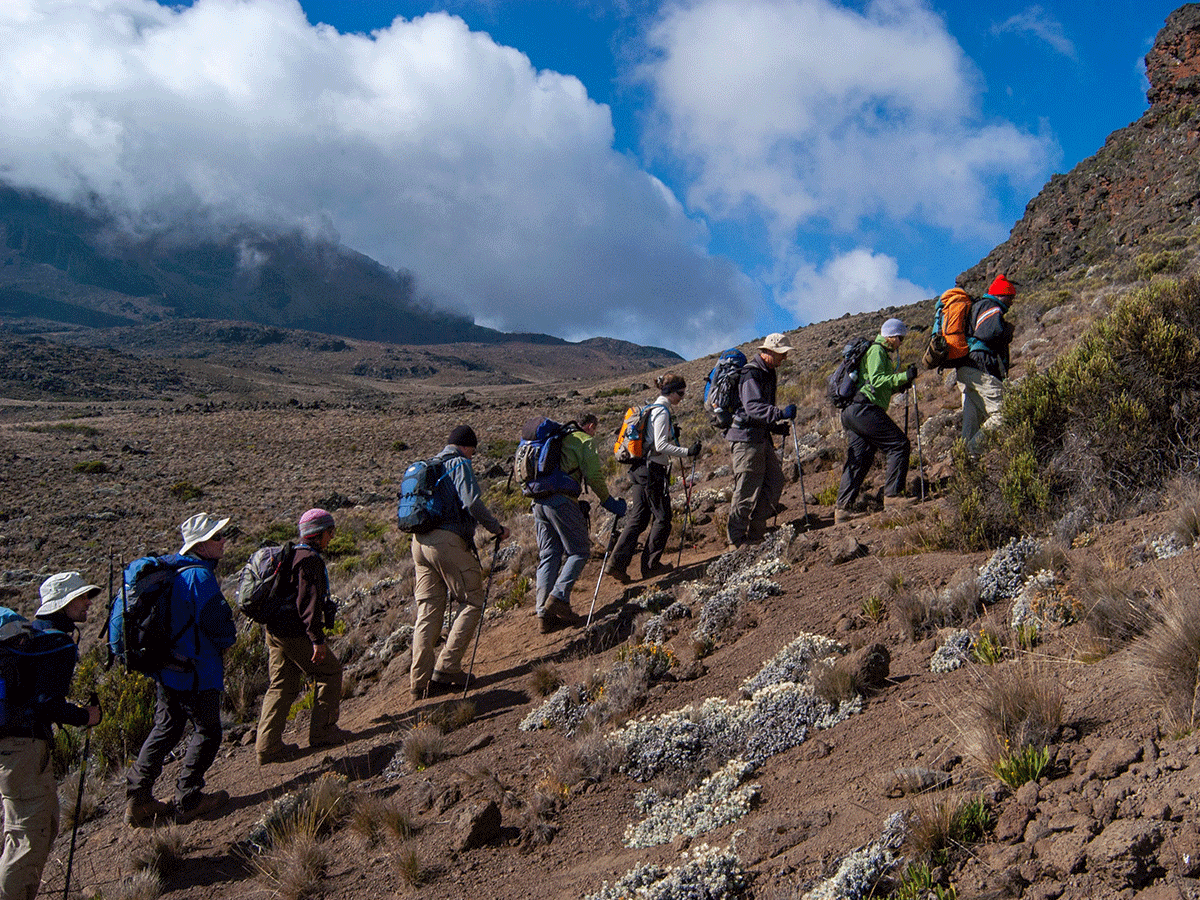 7 Days Mount Kilimanjaro Hike via Machame route