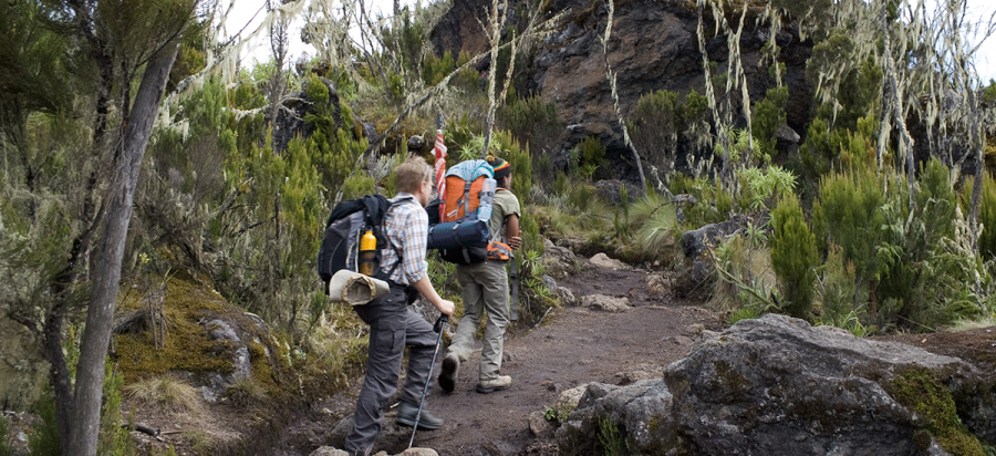 8 Days Mount Kilimanjaro Hike via Lemosho route