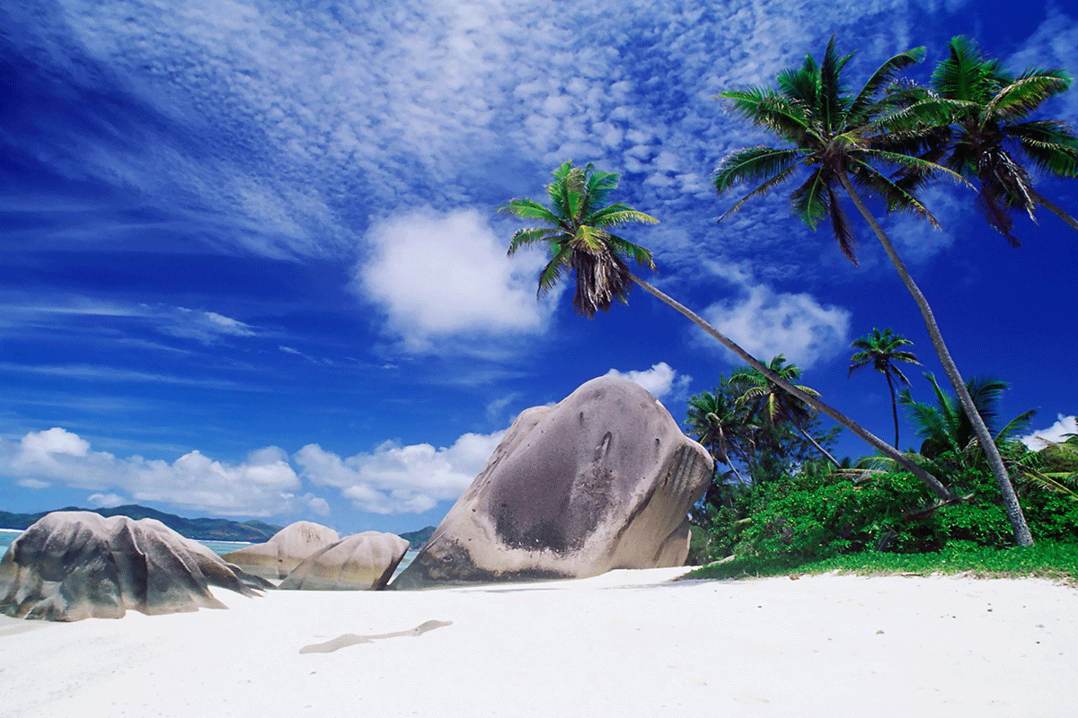 Luxury Seychelles beach Holiday Safaris