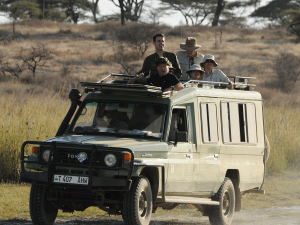 GAME DRIVES IN THE SAVANNAH PARKS