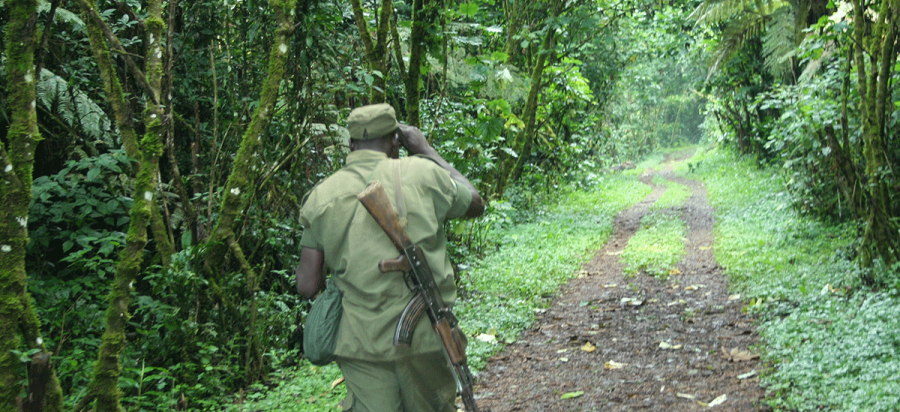 Is Uganda safe for gorilla trekking in Africa?